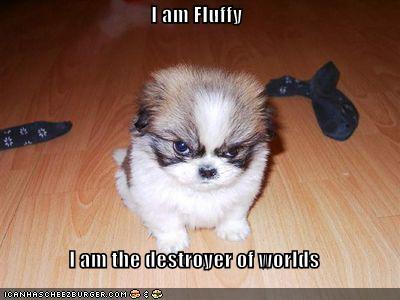 I am Fluffy I am the destroyer of worlds - Cheezburger - Funny Memes