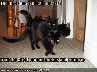 The three headed cat monster from the Greek legend. Dorkus and