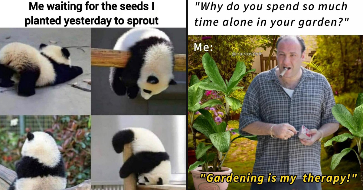 Planting memes. Best Collection of funny Planting pictures on