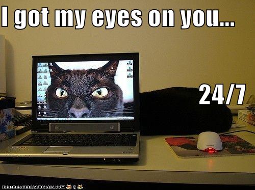 I got my eyes on you&hellip; 24/7 - Cheezburger - Funny Memes | Funny Pictures