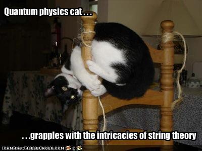 Quantum physics cat . . . - Cheezburger - Funny Memes | Funny Pictures