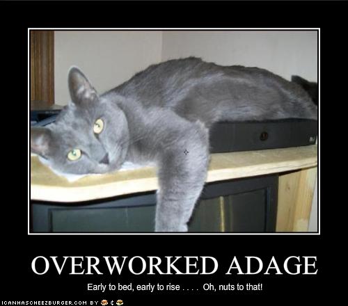 OVERWORKED ADAGE - Cheezburger - Funny Memes | Funny Pictures