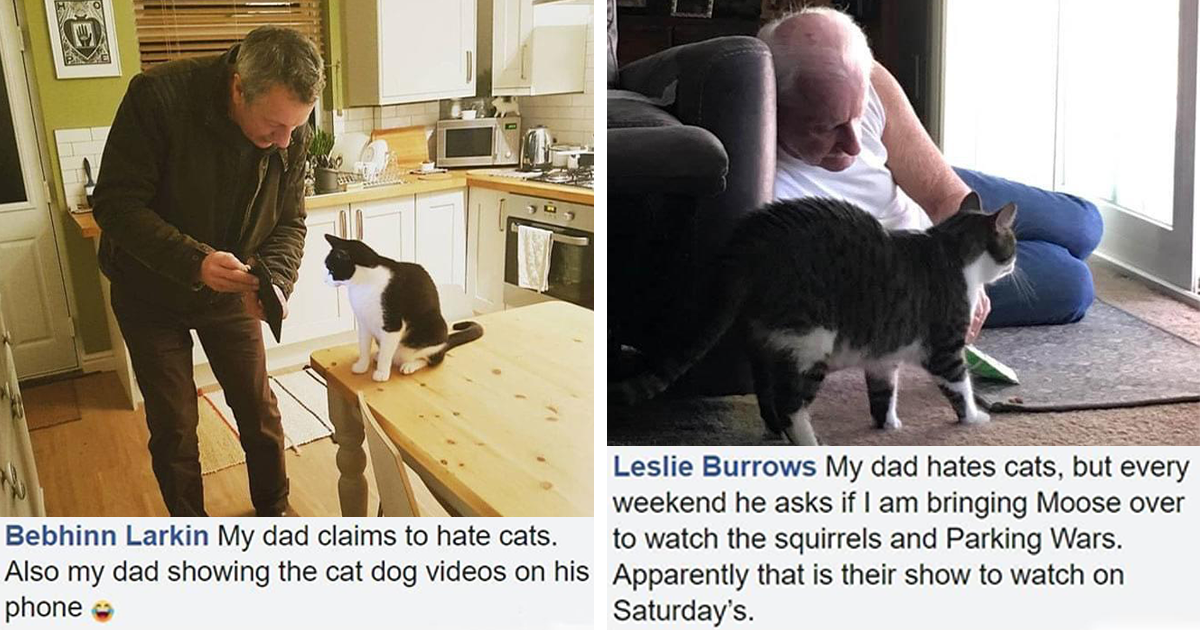 14 Manly Man Who Didnt Want Cats Totally Falling In Love With Their Little Furballs I Can Has