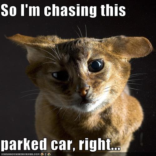 So Im chasing this parked car right - Cheezburger - Funny Memes   Funny Pictures