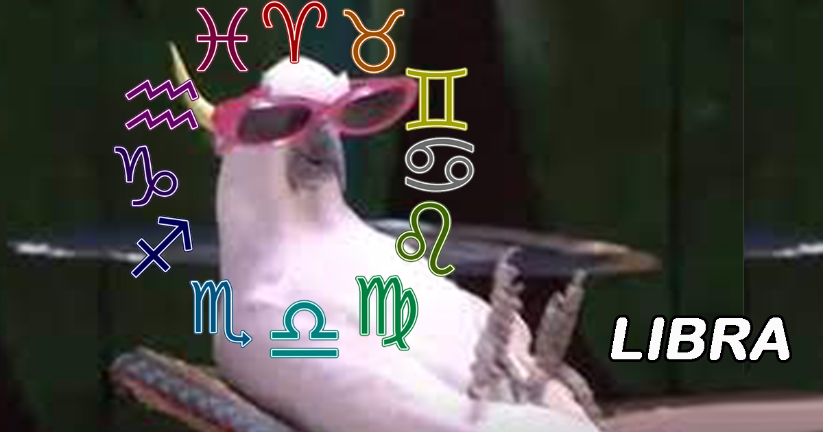 What Memeable Bird You Are Based on Your Zodiac Sign That are a Real