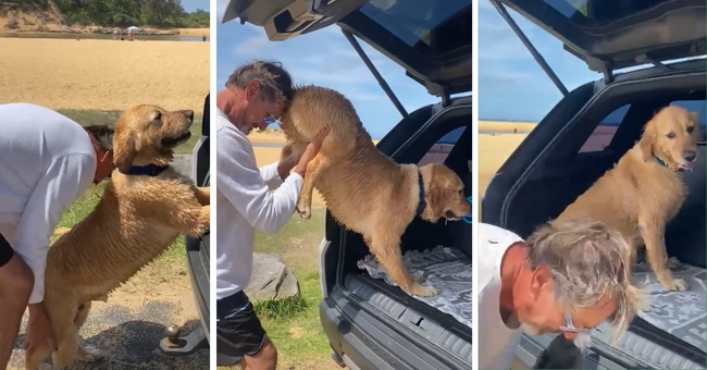 ‘I Ain't Leaving’ Stubborn Doggo Clearly Is Not Ready Nor Willing to Go ...