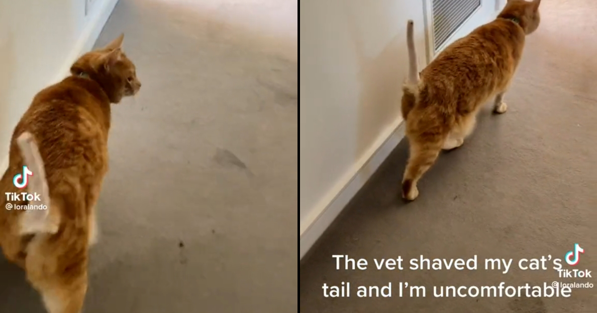 Memebase All Your Memes In Our Base Funny Memes Cheezburger