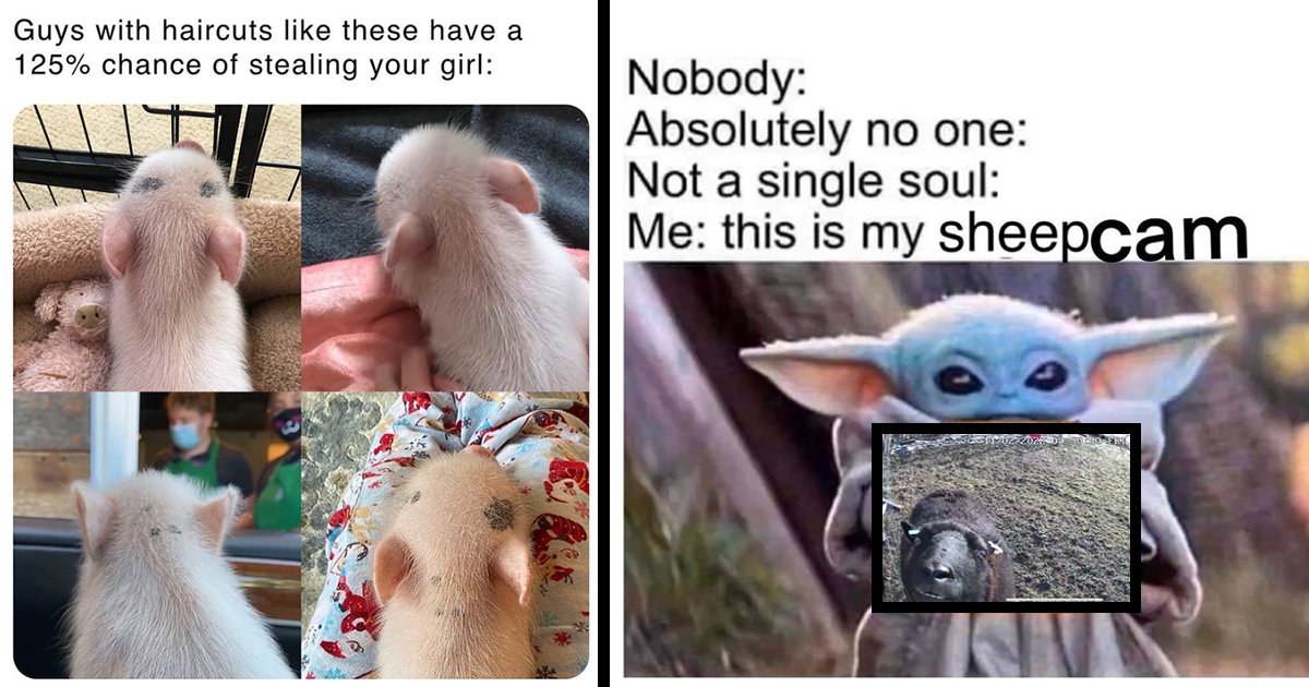 Memebase farmlife All Your Memes In Our Base Funny Memes Cheezburger