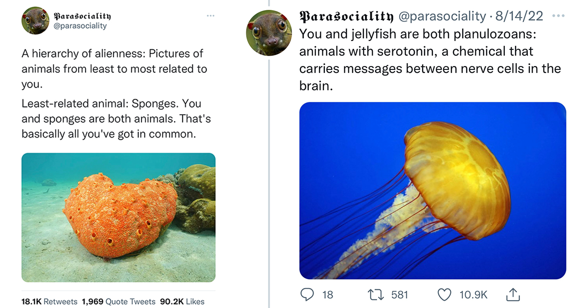 Fascinating Thread Lists Animals That Are the Most (and Least) Related