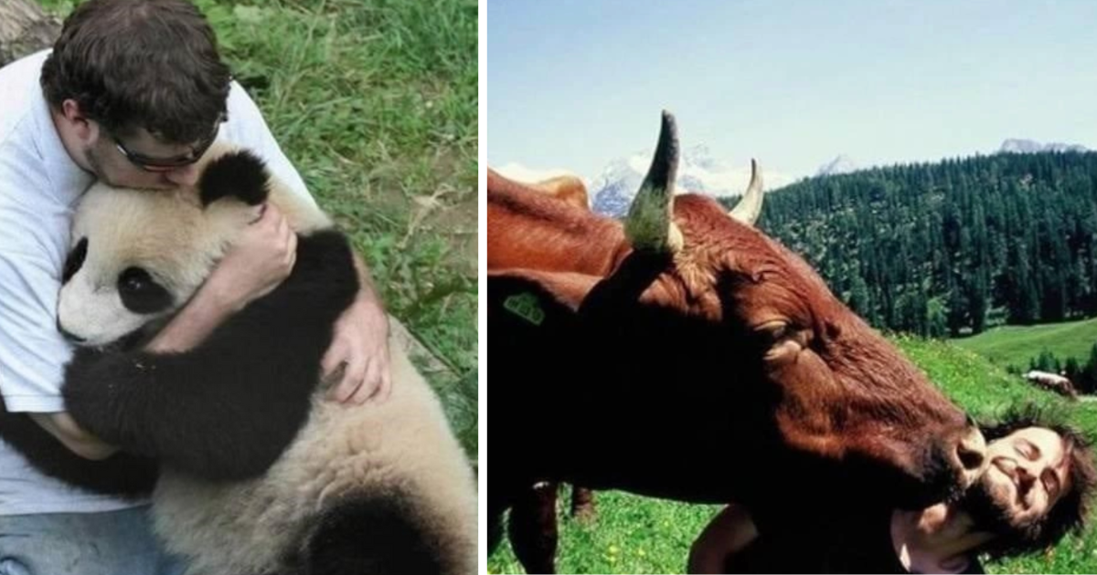 12 Animals Whose Love Language Is Physical Touch - Animal Comedy - Animal  Comedy, funny animals, animal gifs