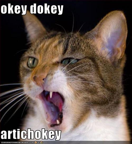 Okey Dokey Artichokey Cheezburger Funny Memes Funny Pictures