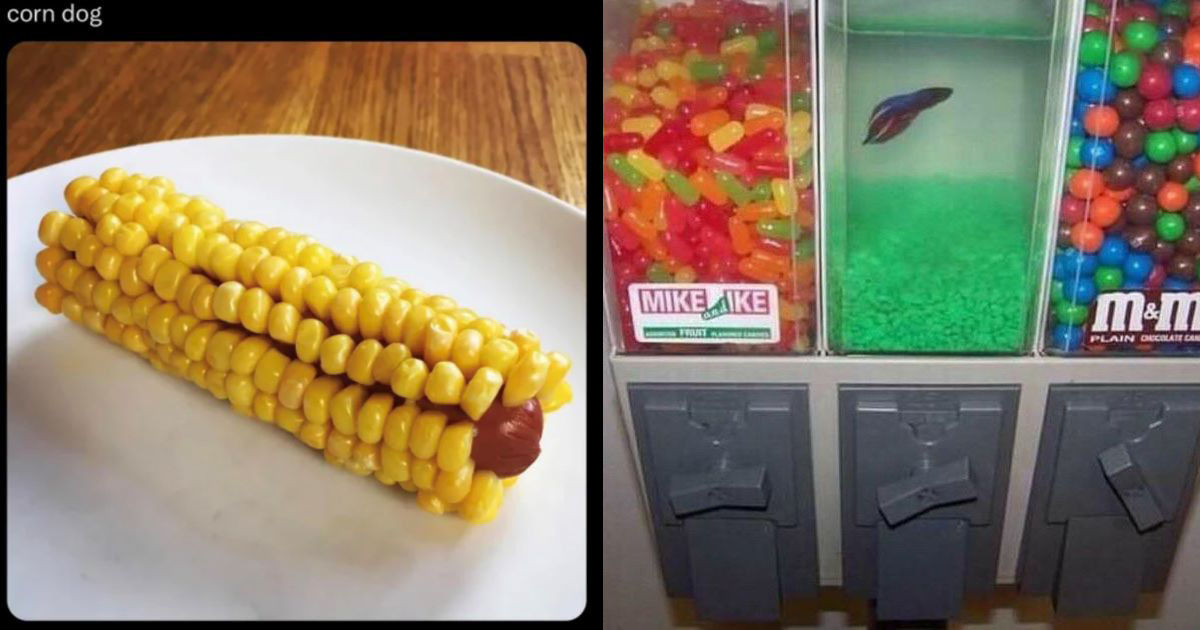 Memebase - blursed - All Your Memes In Our Base - Funny Memes - Cheezburger