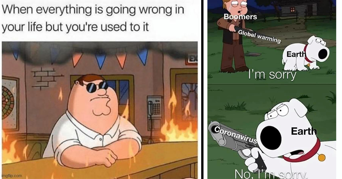 Funniest Family Guy Memes That Are Better Than the Chloë Grace