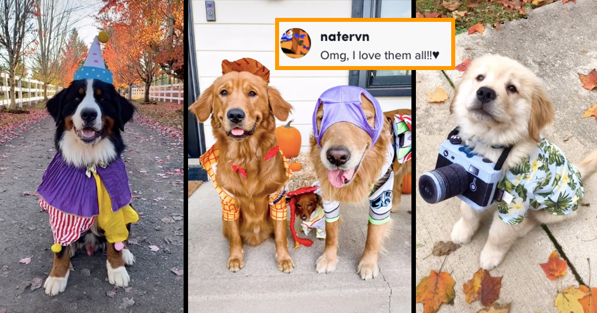 9 Paw-esome Halloween Costume Ideas for Your Adorable Puppy