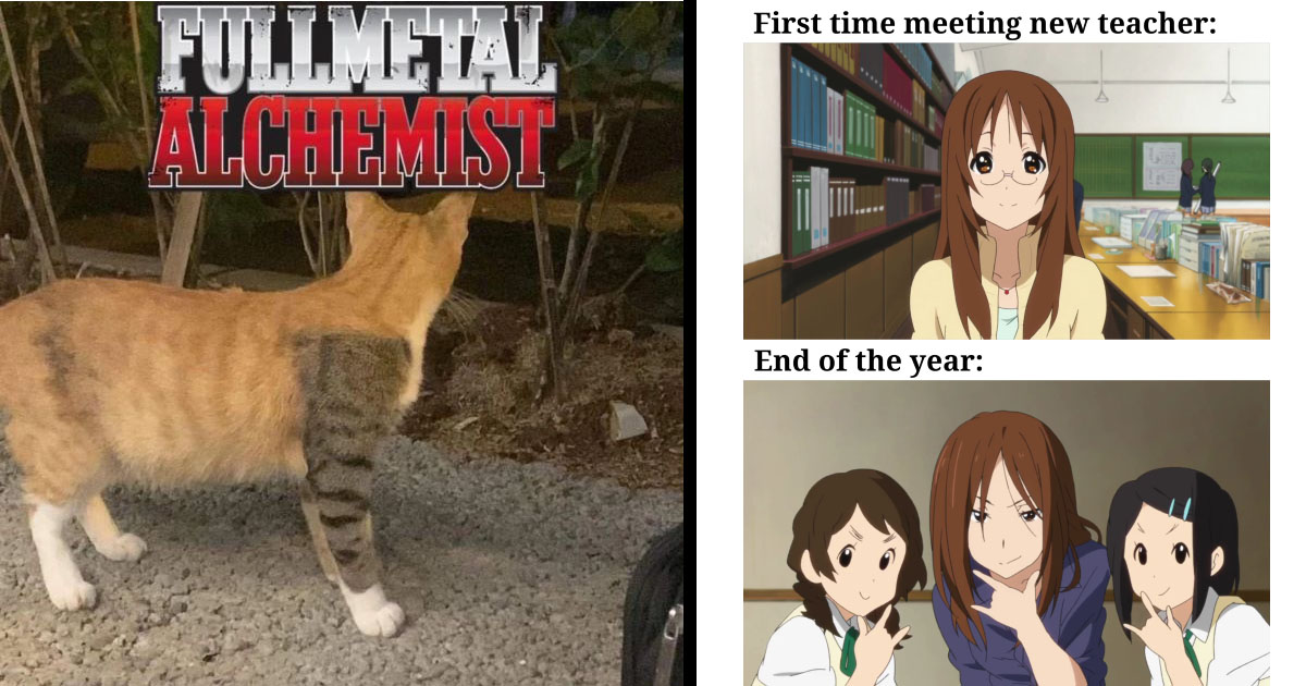 reddit: the front page of the internet  Anime memes funny, Anime memes  otaku, Super funny pictures