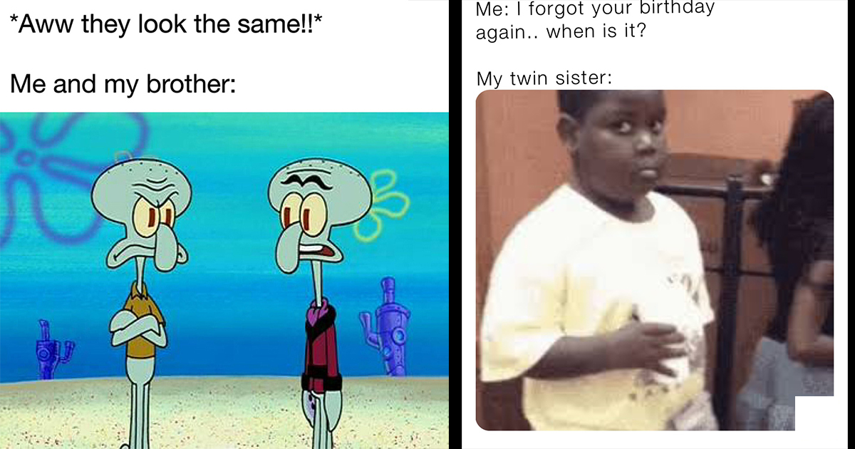 identical twin meme