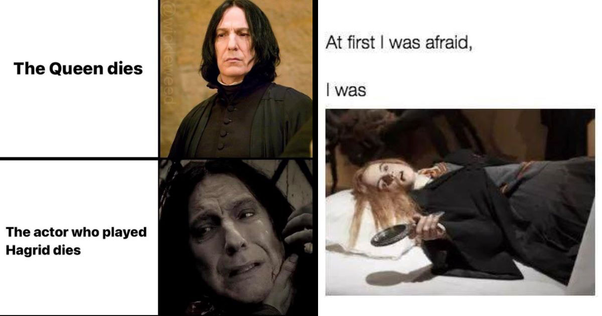 8 melhores Memes do harry Potter 