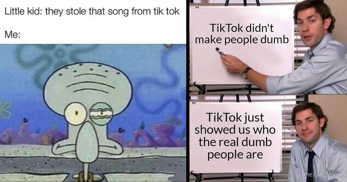 A Classic Scroll Of Anti Tiktok Memes For People Who Always Downvote The Dumb Clock App Fail 1889