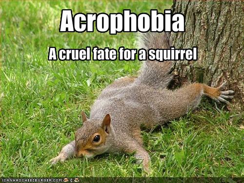 acrophobia captions Funny  Funny  Pictures Memes    Acrophobia Cheezburger