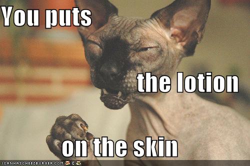 You Puts The Lotion On The Skin Cheezburger Funny Memes Funny Pictures 6604