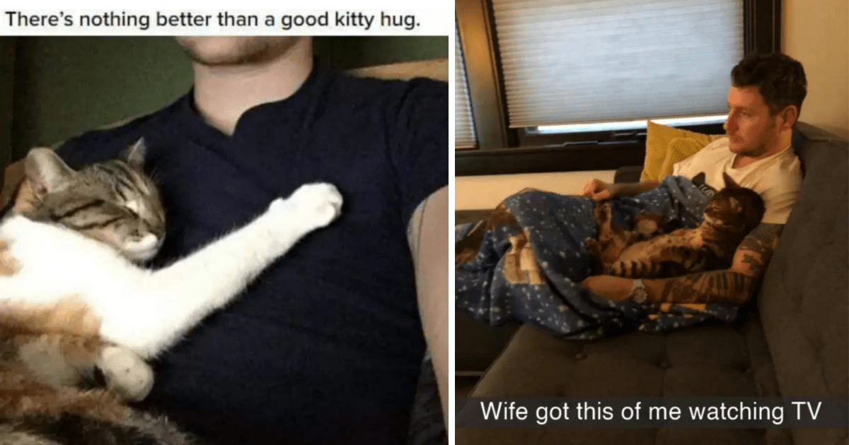 18 Wholesome Cat Memes For People Who Are Spending Caturday Curled Up 