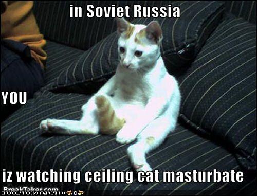 In Soviet Russia You Iz Watching Ceiling Cat Masturbate