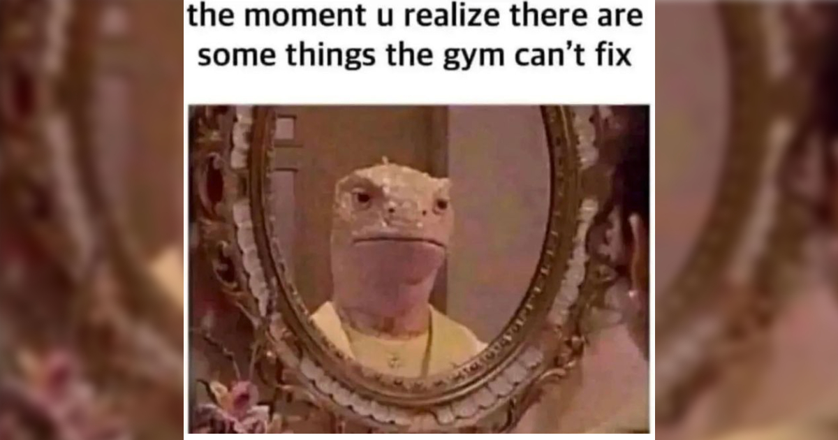 Funniest Gym Rat Memes About People Who Always Call You 'Bro', Talk About  Their Gains, and Drink PreWorkout Like It's Water - Memebase - Funny Memes