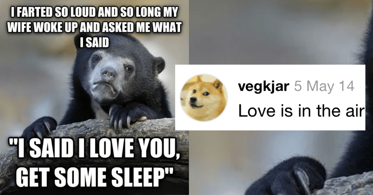 The Very Best of the Confession Bear Meme