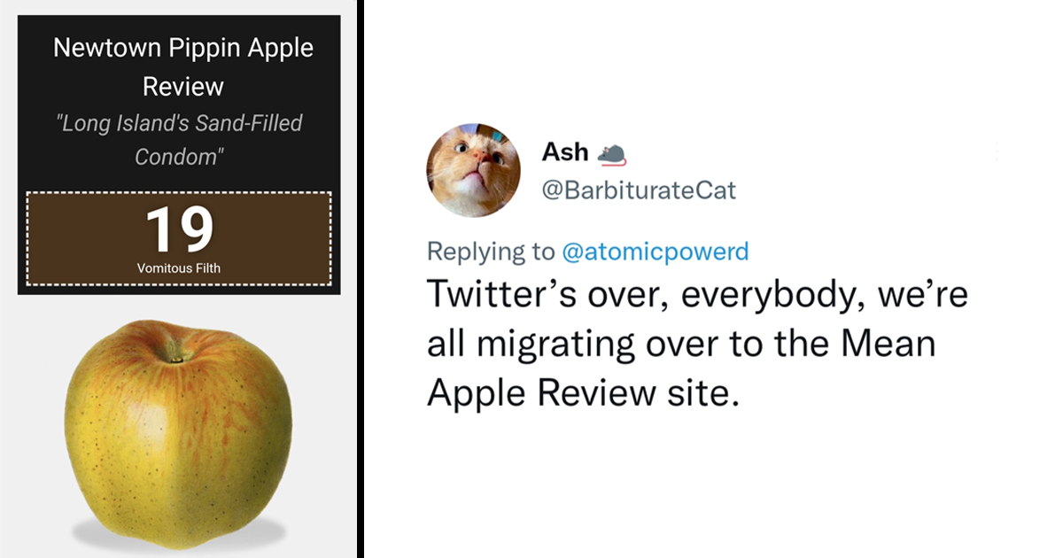 Sassy Apple Review Website Splits Opinion on Twitter Memebase Funny