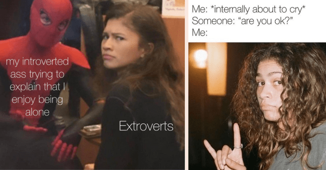 15 Best Relatable Zendaya Tom Holland Memes To Celebrate Their