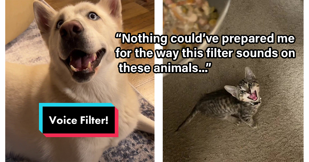 People are using the viral voice effect filter on their pets and the