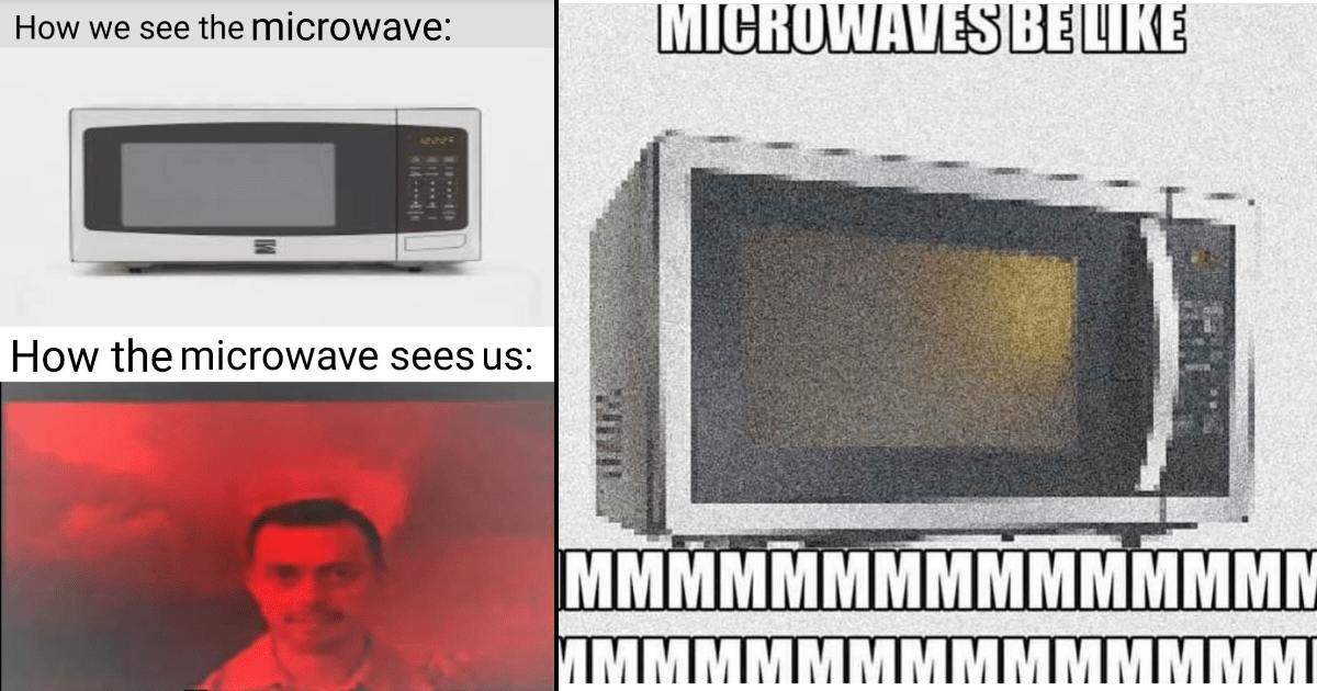 microwave meme