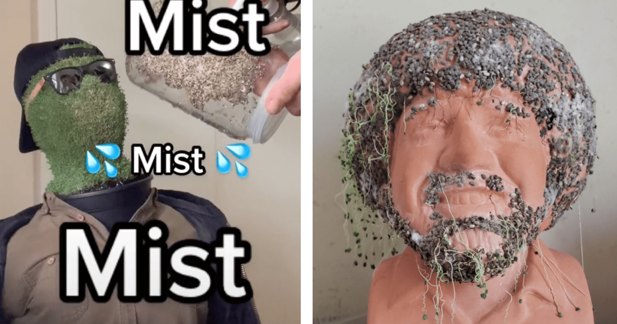 20 People who declared: 'Chia seed ALL the things!' - FAIL Blog