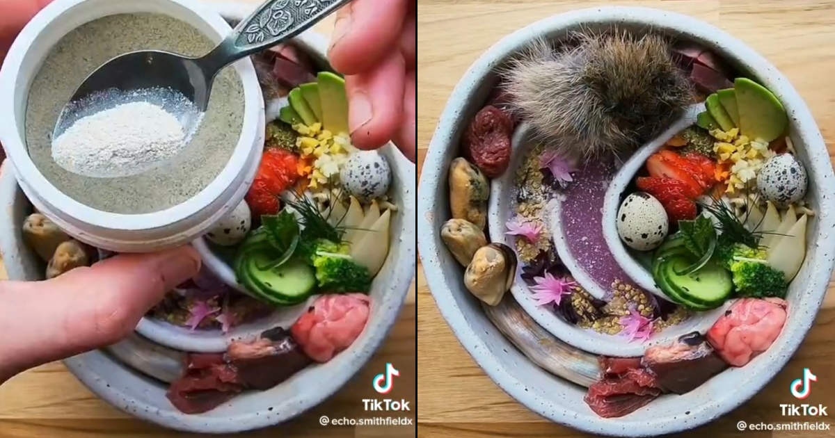 Dog Owner s Deranged Raw Feeding Bowl Baffles the Internet