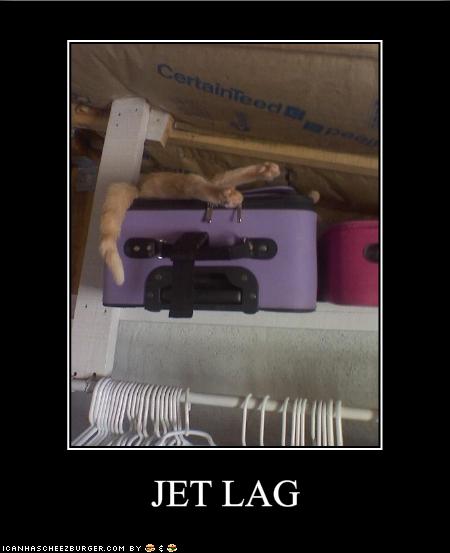 New Dating Sites >> JET LAG - Cheezburger - Funny Memes | Funny Pictures New Dating Sites >> JET LAG - Cheezburger - Funny Memes | Funny Pictures