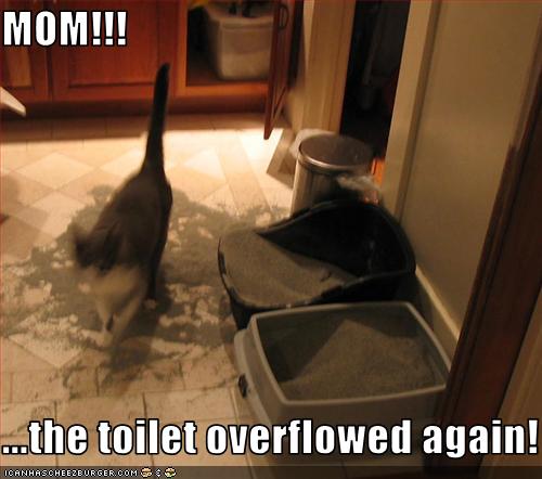 my dating life is a mess