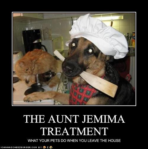 The Aunt Jemima Treatment Cheezburger Funny Memes Funny Pictures