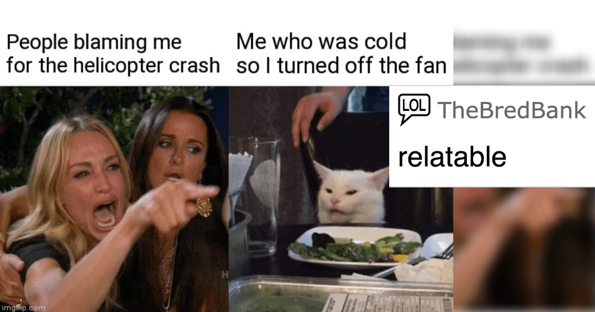 25 Of The Best "Woman Yelling At Cat" Memes That Will Have You Cackling