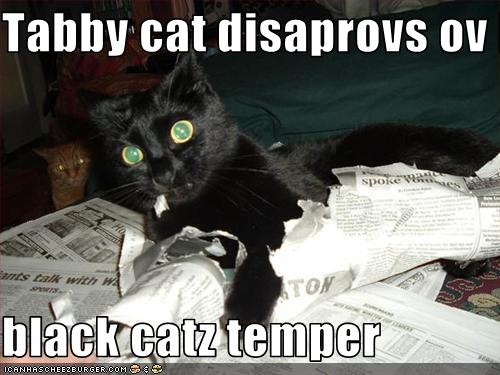 latest free dating sites in canada