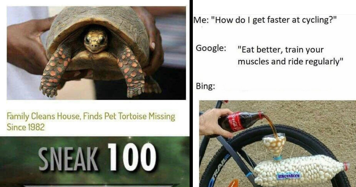 A Refreshing Drink of Memes That Aren't Just Hair of the Dog Memebase