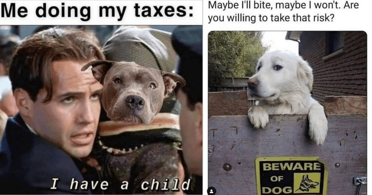 Doggie Dump of Dopamine To Get Through The First Work Week of 2023 (30