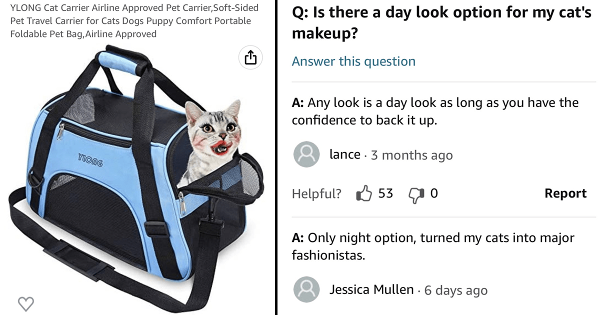 Cat 2025 carrier funny