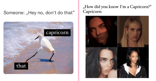 50 Best Capricorn Memes That Describe This Zodiac Sign