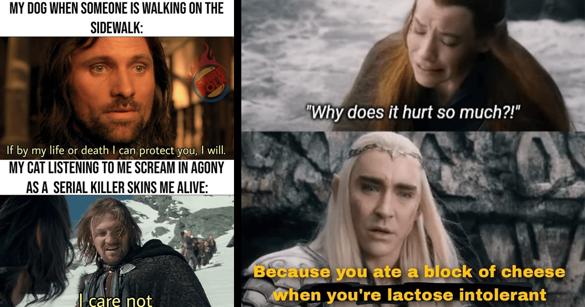 Memebase - lotr memes - Page 5 - All Your Memes In Our Base - Funny Memes -  Cheezburger