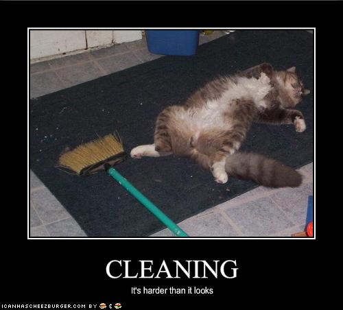 Cleaning Cheezburger Funny Memes Funny Pictures 9997