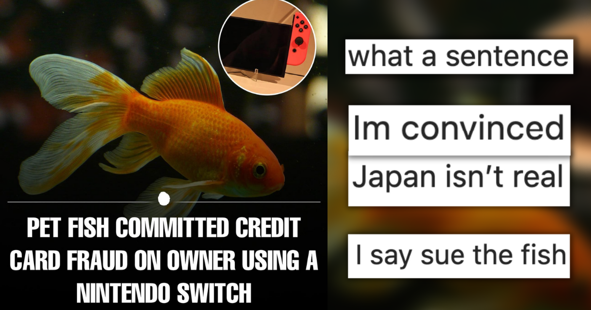 Unbelievable Fish Phishing Scam When Pet Fish Commits