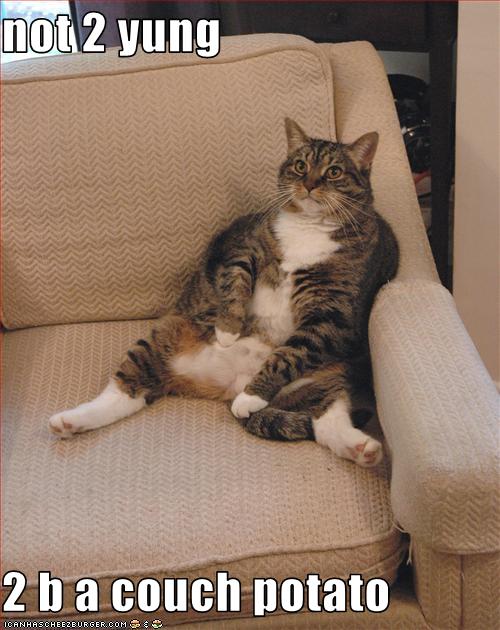 Not 2 Yung 2 B A Couch Potato Cheezburger Funny Memes Funny