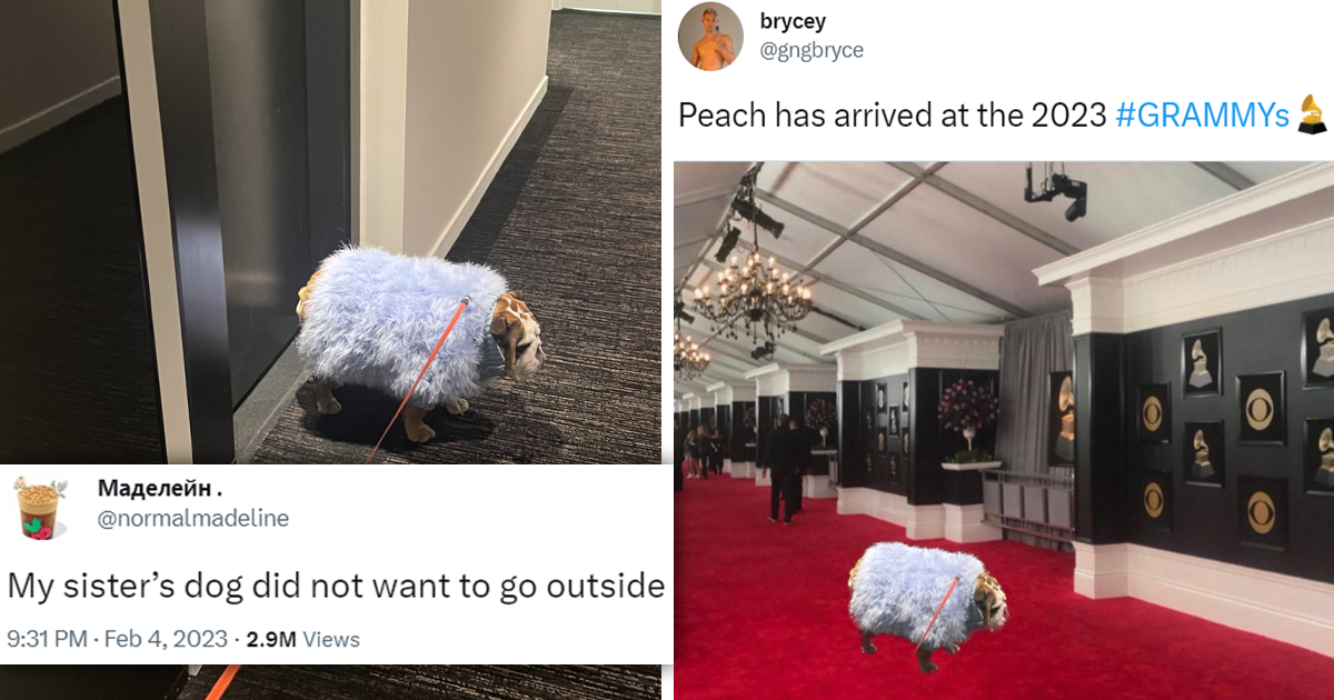 Top 15 Cutest Animals Of The Week To Start The Day With An 'Aww' (January 8, 2023) Khabri