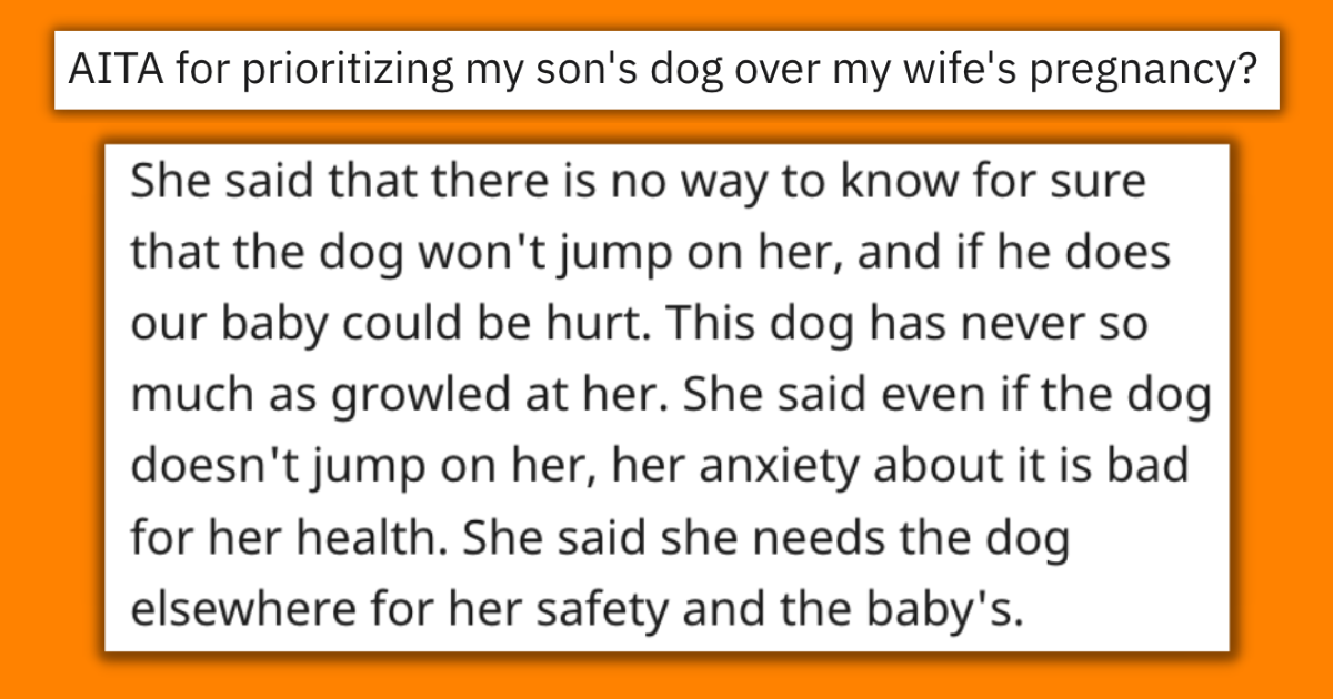 Protective Parent Prioritizes Son's Doggo Over Wife's Early Pregnancy