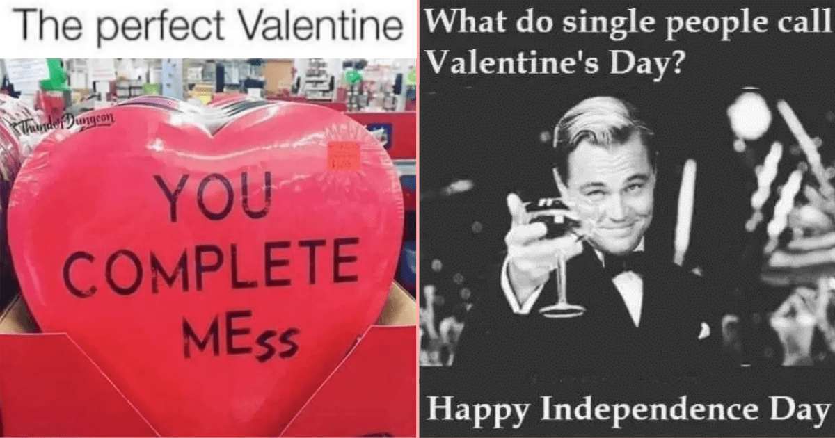 20 Relatable And Mostly Empowering Valentines Day Memes For The Single Pringles In The Crowd
